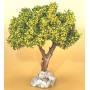 Arbre Mimosa, accessoire miniature