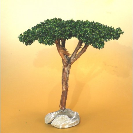 Arbre Pin Parasol, accessoire miniature