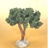 Arbre Olivier 12cm
