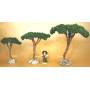 Arbre Pin Parasol, accessoire miniature