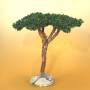 Arbre Pin Parasol, accessoire miniature