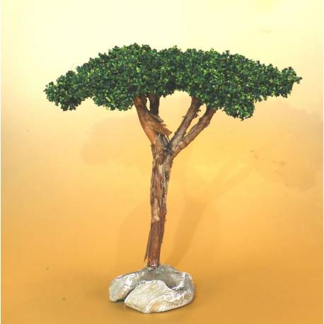 Arbre Pin Parasol, accessoire miniature